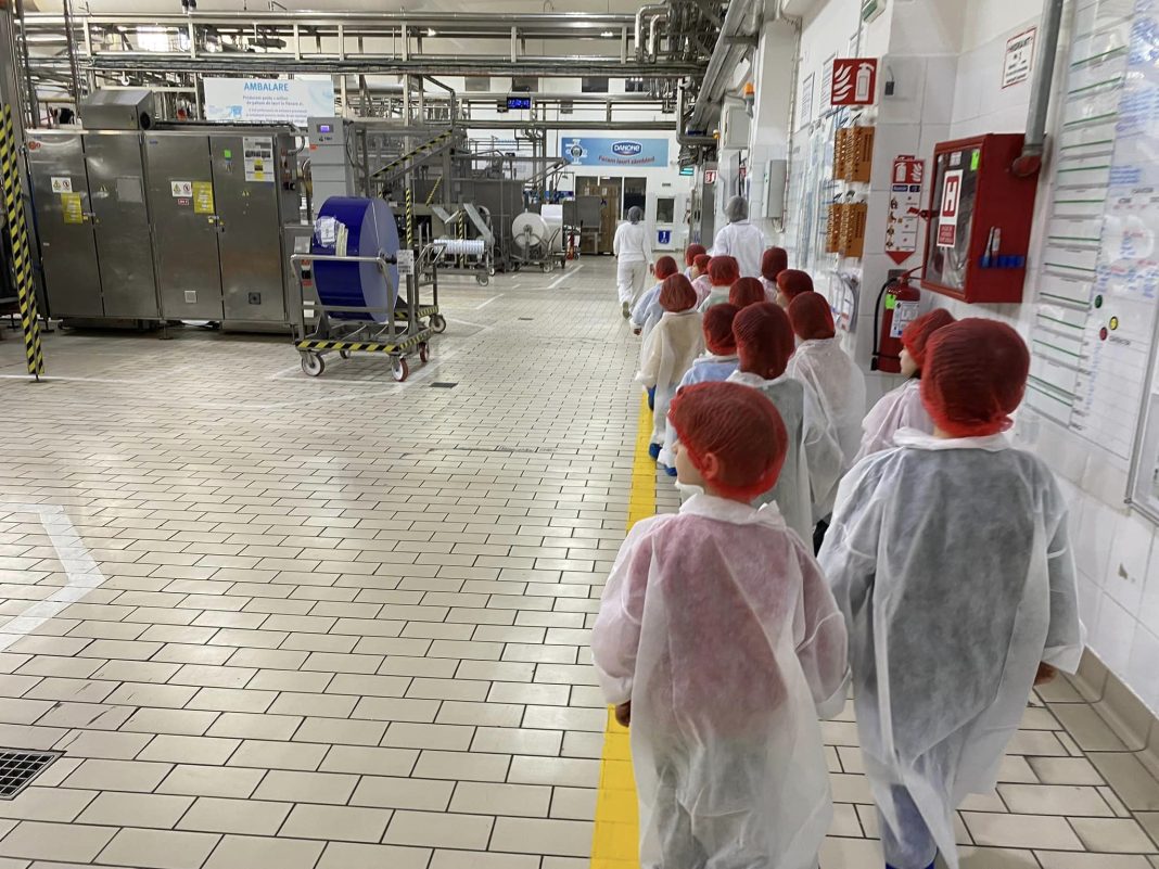 Fabrica Danone Bucuresti