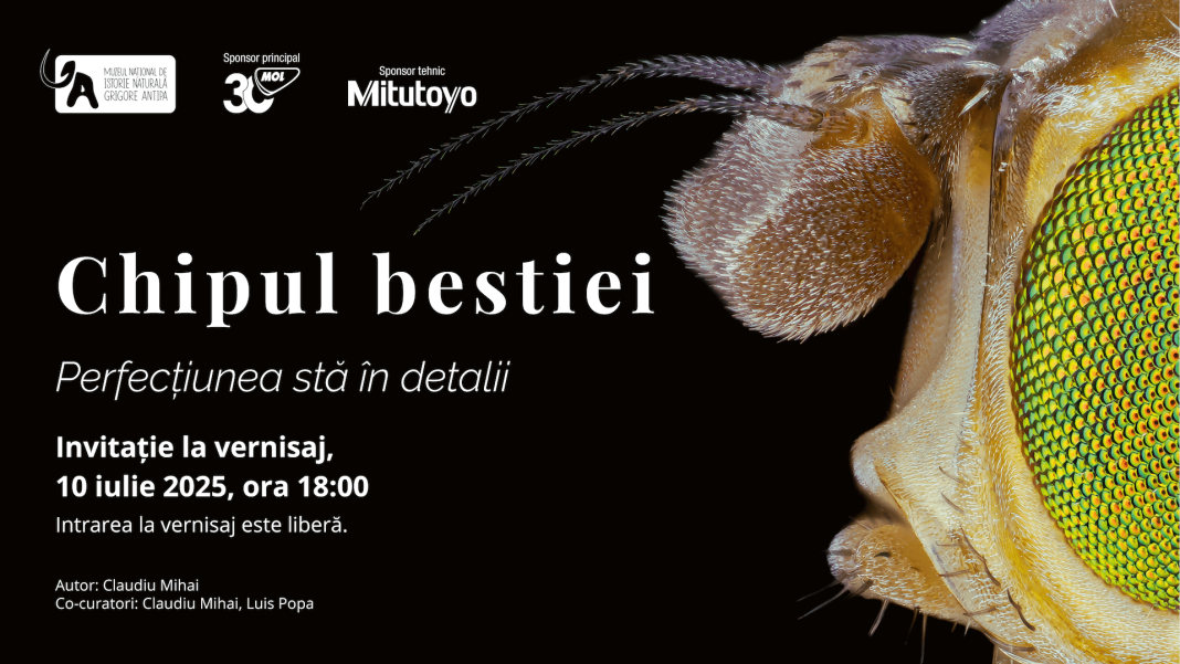 expo_chipul-bestiei_vernisaj_ticket_1920x1080