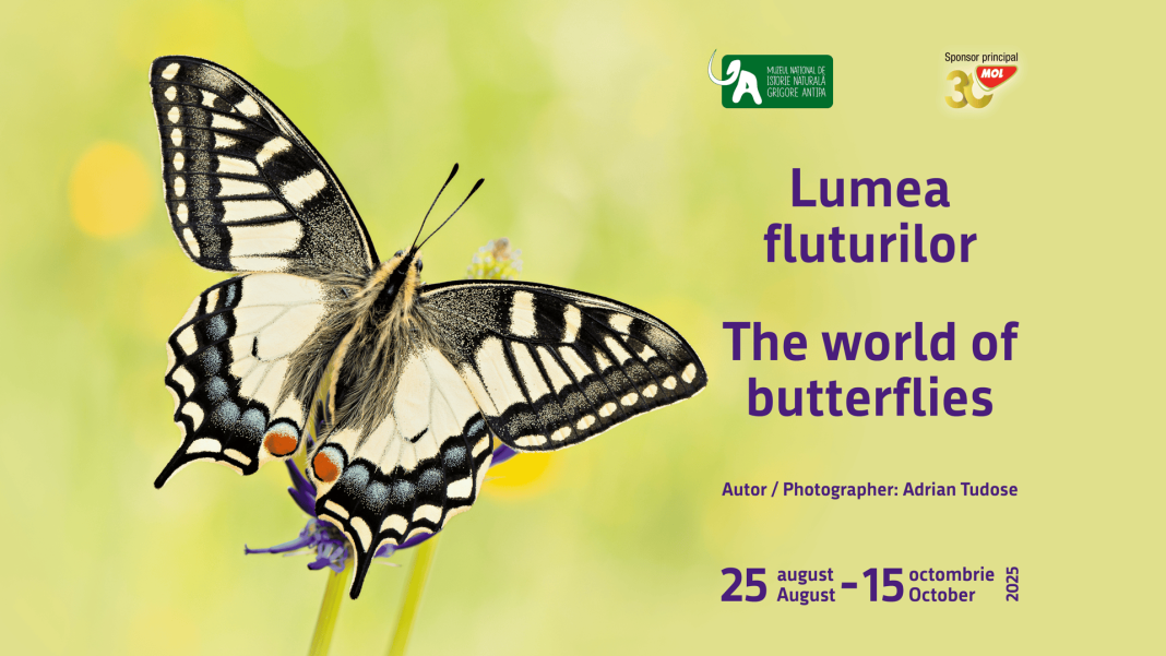 Lumea fluturilor landscape(1)