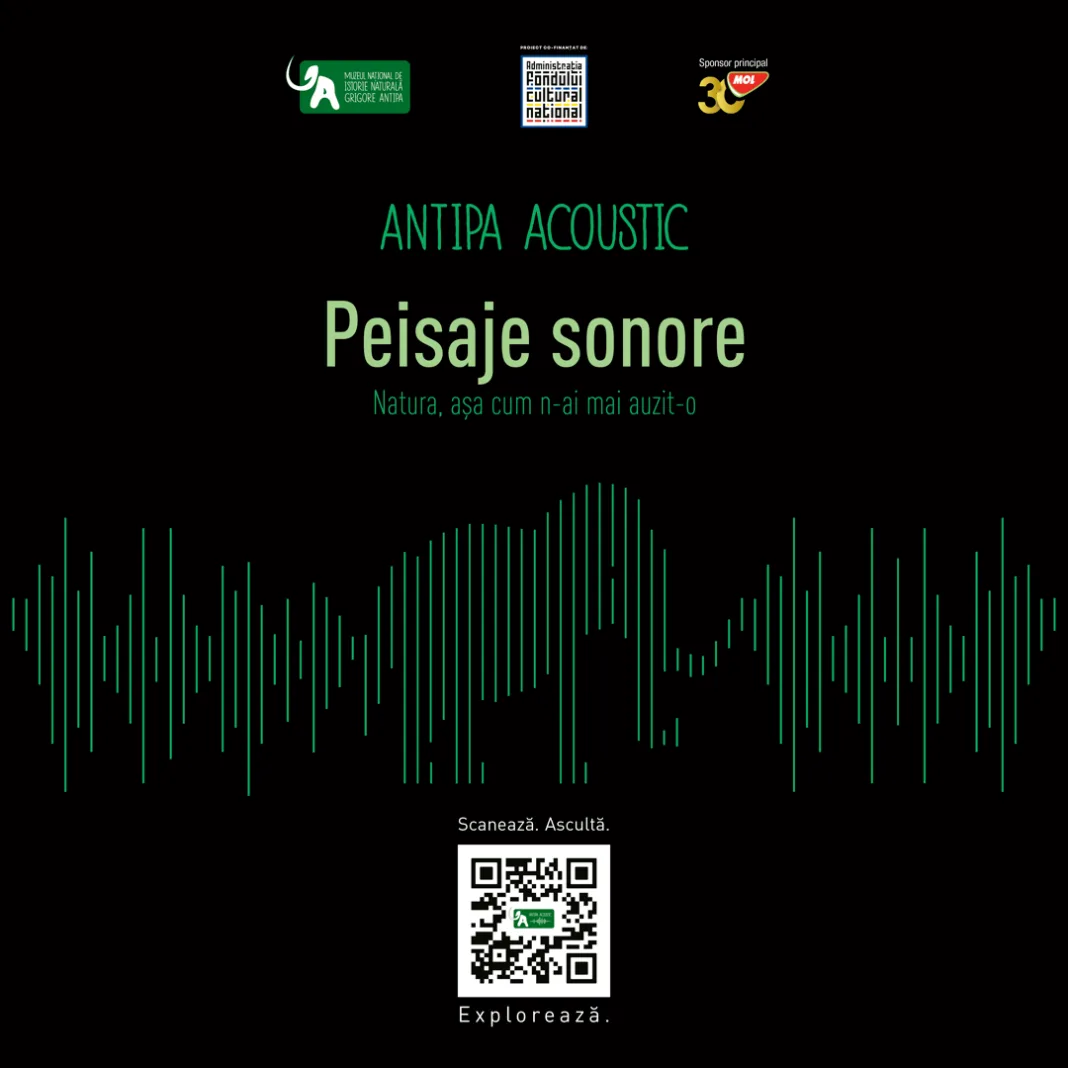 Antipa Acoustic