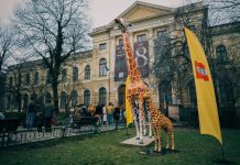 Girafa de la Muzeul Antipa și-a găsit un prieten