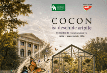„COCON” își deschide aripile: expoziția de fluturi exotici vii se mută în sera Muzeului Antipa